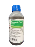 FERNANDO FORTE 300 EC